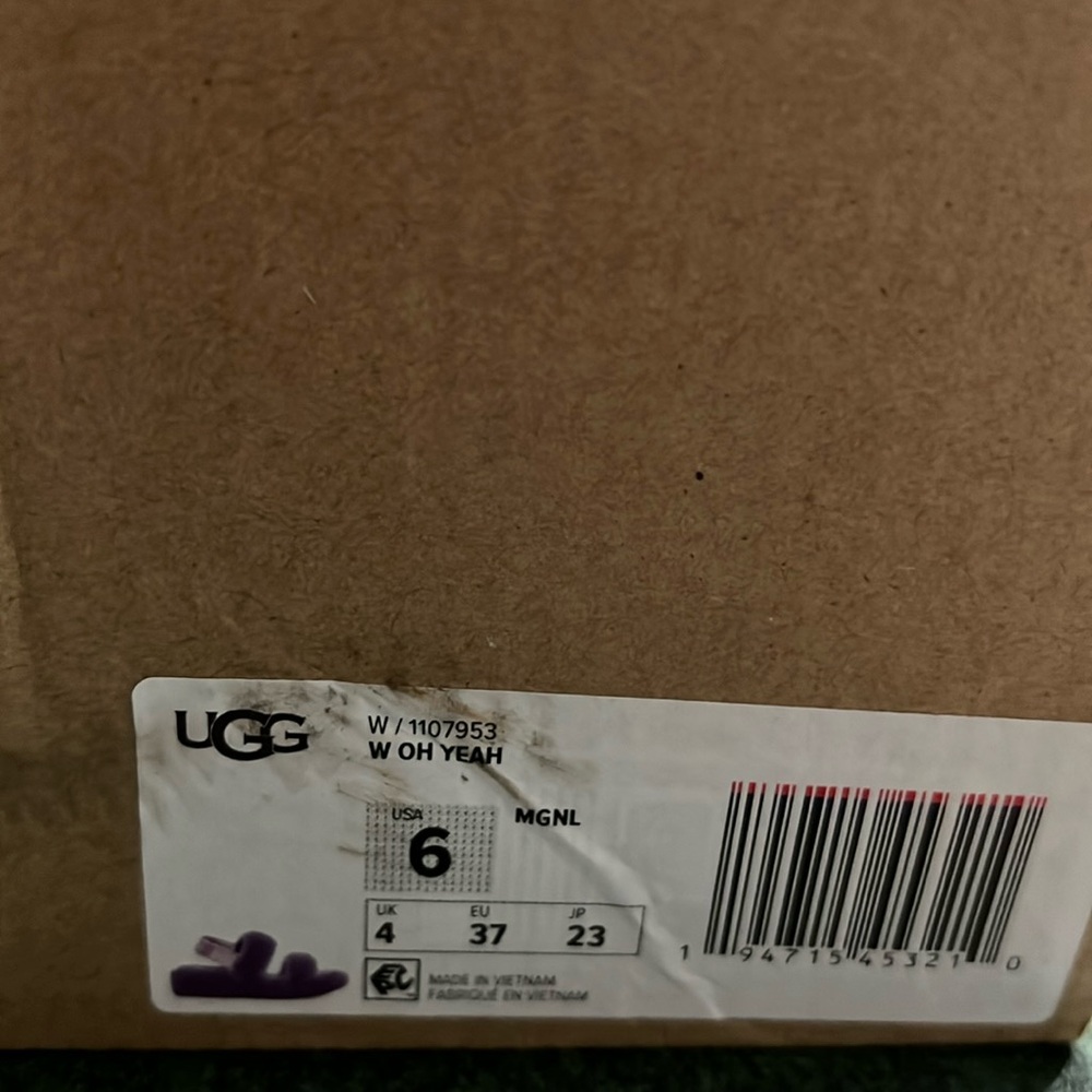 UGG  slippers